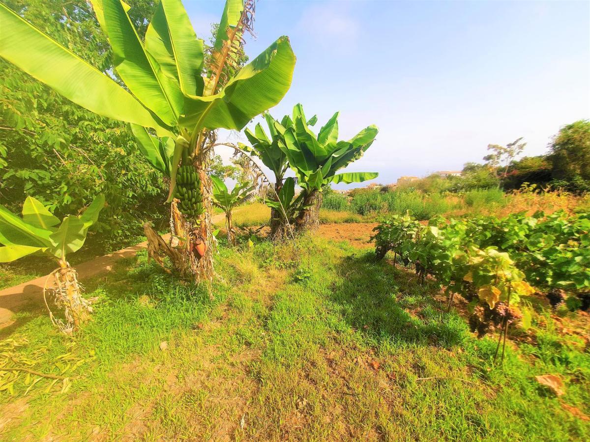 Casa En Finca Ecologica - Wifi 라오로타바 외부 사진
