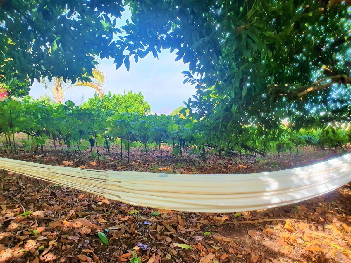 Casa En Finca Ecologica - Wifi 라오로타바 외부 사진