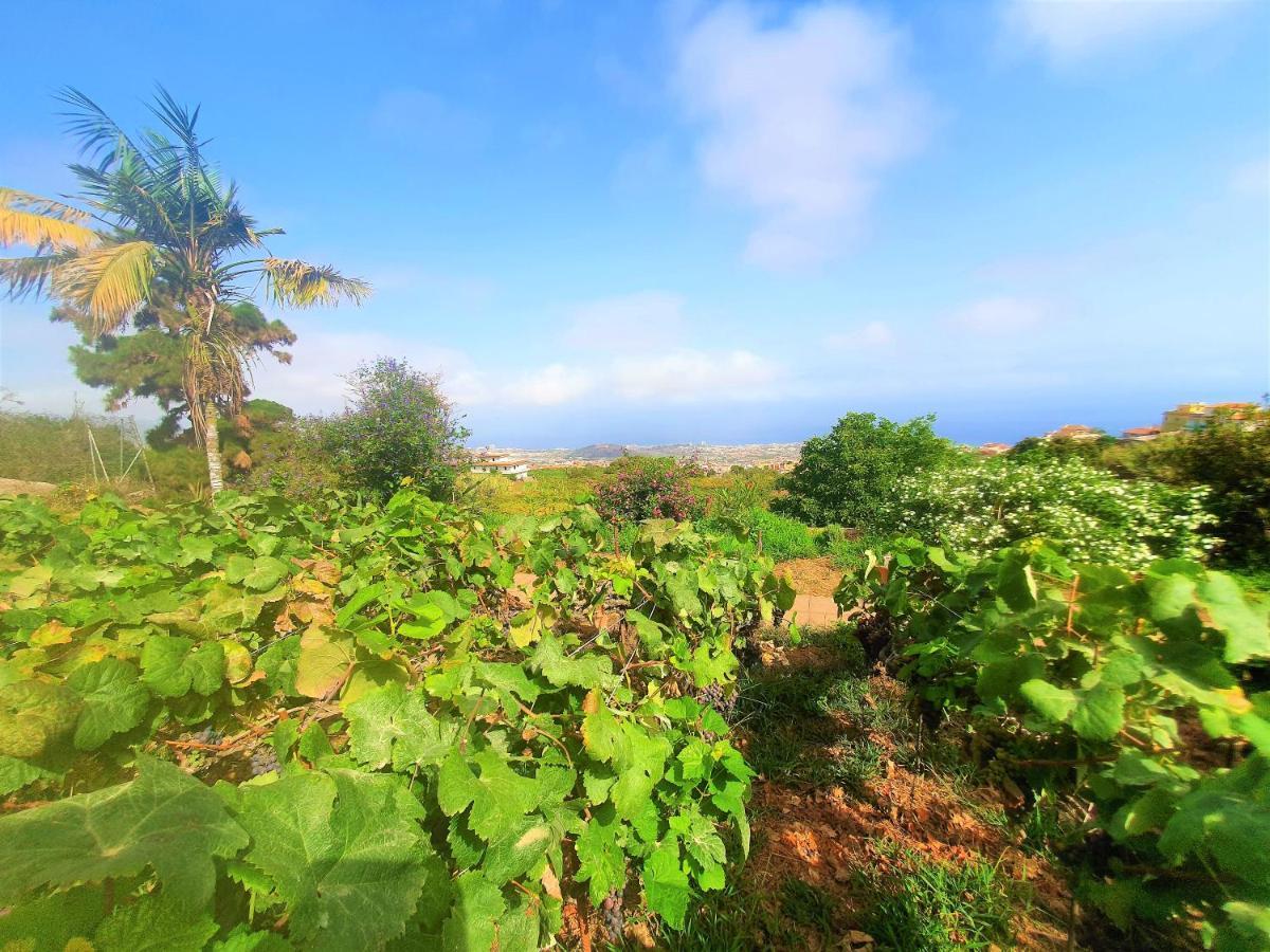 Casa En Finca Ecologica - Wifi 라오로타바 외부 사진