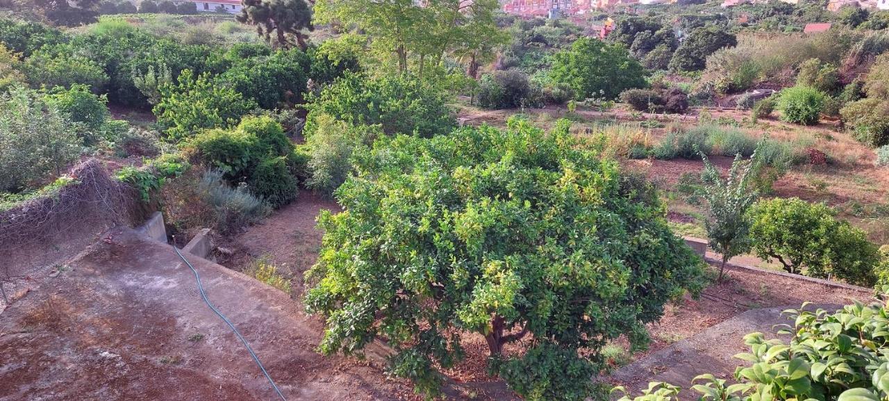 Casa En Finca Ecologica - Wifi 라오로타바 외부 사진