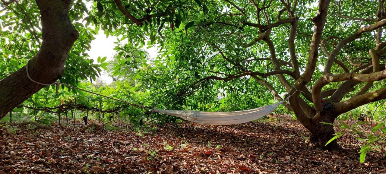 Casa En Finca Ecologica - Wifi 라오로타바 외부 사진